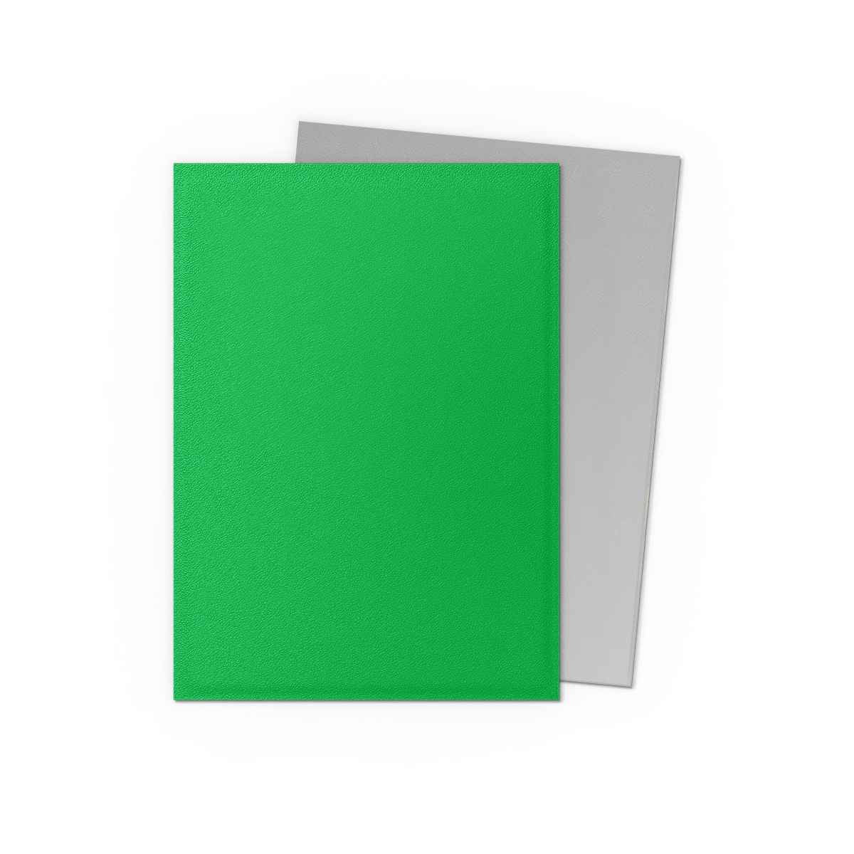 Protège cartes Dragon Shield – Double mat Vert pomme & Argent (100 pièces)