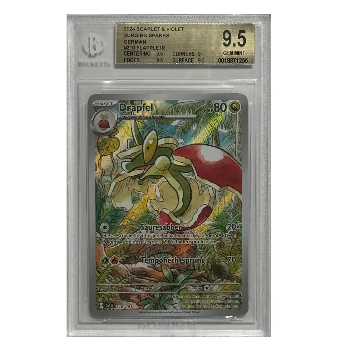 Pokémon – Drapfel IR #210 (Surging Sparks) – BGS 9.5 GEM MINT